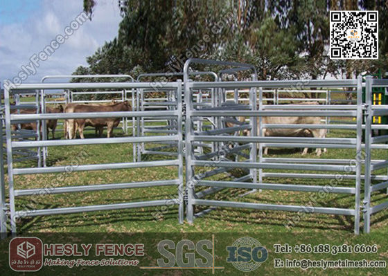Chine Panneaux de Corral de 1,6 m de haut en Chine (Fournisseur) | Panneau de clôture pour chevaux à tube ovale fournisseur
