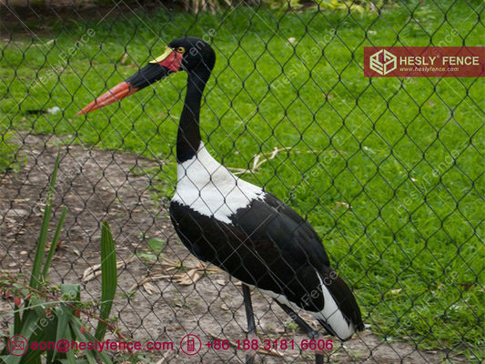 Chine Maillage de câbles à oxyde noir pour les enclos d'animaux, matériau AISI316, câble de 2,0 mm, trou de 50 mm, maillage de ferrule - HeslyFence, Chine fournisseur