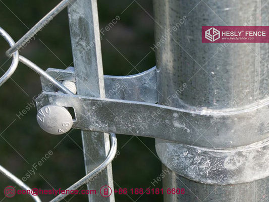 Grillage de chaîne de liaison de la Chine | ouverture de maille de 55x55mm | fil d'acier de 4,0 mm - Hesly Fence, Chine fournisseur