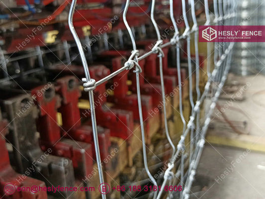 Clôture à nœuds fixes tissée pour champs | Clôture à bétail | Clôture de prairie | Usine chinoise fournisseur