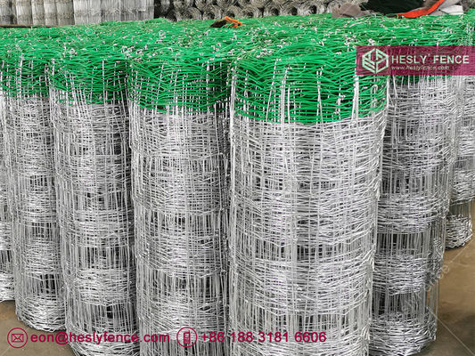 Clôture à nœuds fixes tissée pour champs | Clôture à bétail | Clôture de prairie | Usine chinoise fournisseur