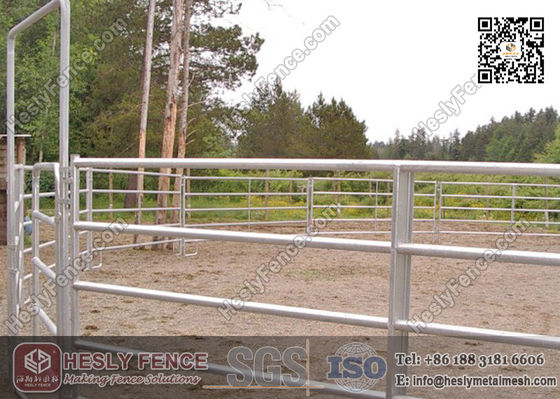 Panneaux de Corral en Chine (Fournisseur) | Clôture pour bétail | Panneaux de Corral pour chevaux fournisseur