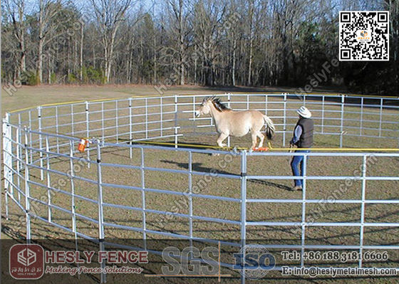 Panneaux de Corral de 1,6 m de haut en Chine (Fournisseur) | Panneau de clôture pour chevaux à tube ovale fournisseur