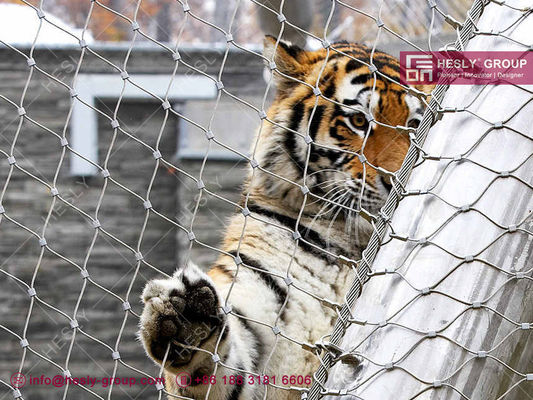 316L en acier inoxydable Zoo Mesh fournisseur