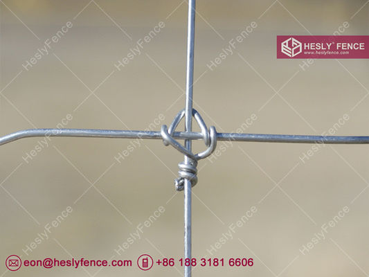 1,5 m de hauteur 2,0 mm de fil | Clôture de prairie tissée | Clôture à bétail | Clôture de pâturage | Usine chinoise fournisseur
