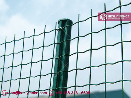 Grillage Roulé | Grillage Hollandais | Grillage Soudé en Rouleau | Grillage Euro fournisseur