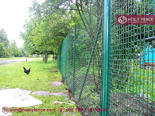 Grillage Roulé | Grillage Hollandais | Grillage Soudé en Rouleau | Grillage Euro fournisseur