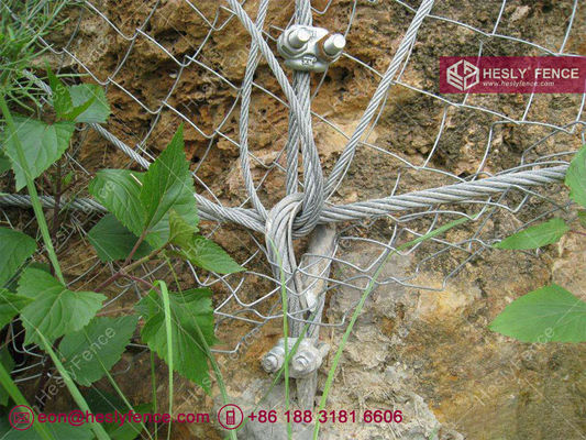 Système de filet de protection active contre les chutes de pierres | maille de câble en acier galvanisé | grille en acier à haute résistance | câble de 8,0 mm | HESLY fournisseur
