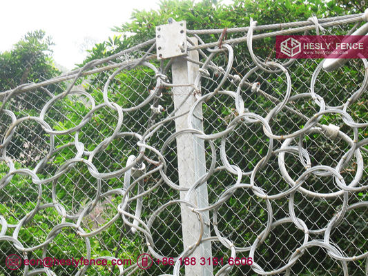 1770Mpa en acier à haute résistance à la traction Ring Net Rockfall Barrier Fence, 3mX10m, fil de 4,0mm, taille d'anneau 350mm, HeslyFence Ventes en Chine fournisseur
