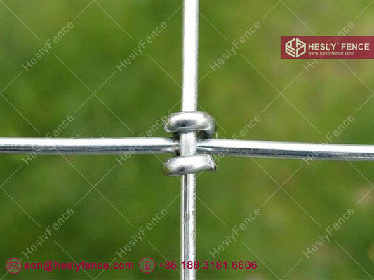 Clôture en treillis métallique à nœuds en S, clôture pour chevaux, galvanisée, 2x50m, fournisseur de clôtures de champ HeslyFence Chine fournisseur