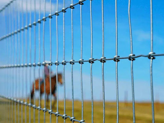 Clôture en treillis métallique à nœuds en S, clôture pour chevaux, galvanisée, 2x50m, fournisseur de clôtures de champ HeslyFence Chine fournisseur