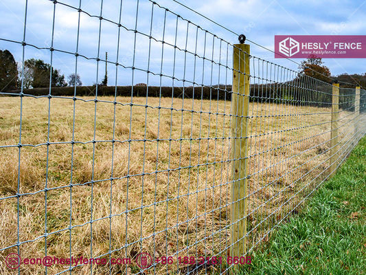 Clôture en treillis métallique à nœuds en S, clôture pour chevaux, galvanisée, 2x50m, fournisseur de clôtures de champ HeslyFence Chine fournisseur