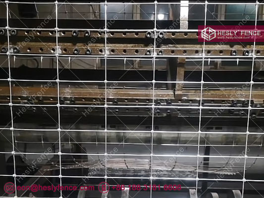 Clôture en treillis métallique à nœuds en S, clôture pour chevaux, galvanisée, 2x50m, fournisseur de clôtures de champ HeslyFence Chine fournisseur