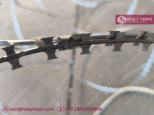 BTO-10 Concertina Razor Wire Coil, Coil de diamètre de 600 mm, fil d'acier galvanisé à chaud, marque HESLY, exportateur chinois fournisseur