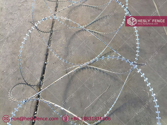 BTO-10 Concertina Razor Wire Coil, Coil de diamètre de 600 mm, fil d'acier galvanisé à chaud, marque HESLY, exportateur chinois fournisseur