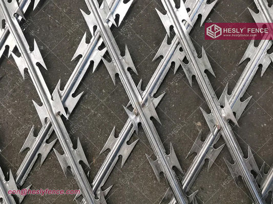 2.1mX6.0m, 75X150mm Rhombus Barbe à rasoir filet de feuille de clôture fournisseur