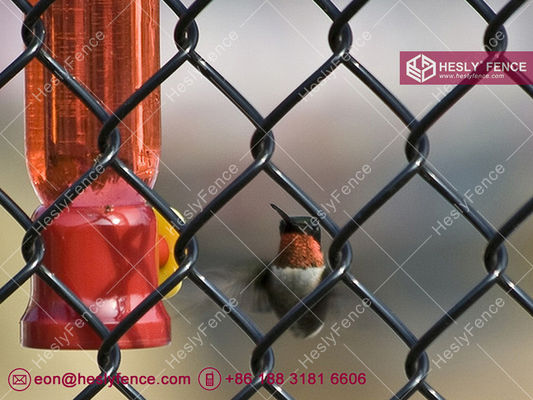 Grillage en vinyle noir | Maille de 60x60mm | Fil de 4.0mm - Hesly Fence, Chine fournisseur