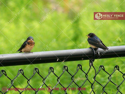 Grillage en vinyle noir | Maille de 60x60mm | Fil de 4.0mm - Hesly Fence, Chine fournisseur