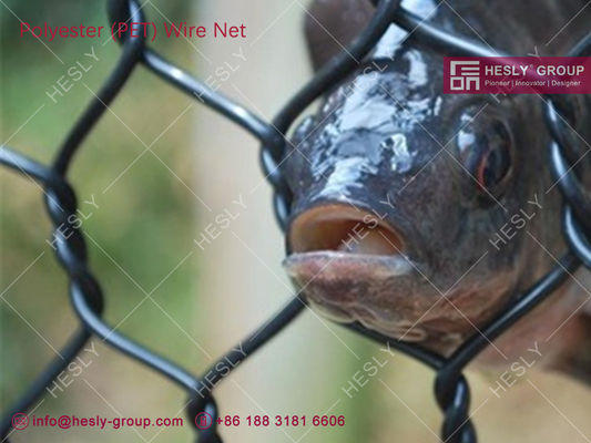HESLY Réseau tissé en polyester, épaisseur de fil de 2,0 mm, trou hexagonal de 35 x 40 mm, ferme de poissons - HESLY_CHINA fournisseur