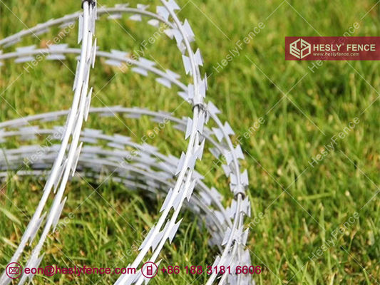 Fil de fer barbelé concertina BTO-22 | HGI | diamètre 500mm | HeslyFence-Chine fournisseur